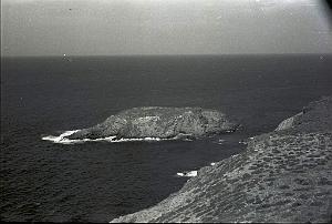CAP FALCON PAR MONNERET   (8)